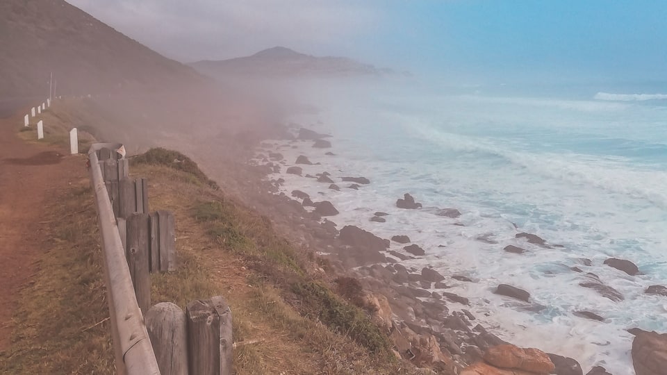 I was driving back to Cape Town after my visit to Cape Point when, after a turn, I saw this landscape. The misty atmosphere was unreal. I needed to stop the car and capture this scenario. I then discovered that for some reason the presence of mist is quite common on that cliff. I guess that's the reason it's called Misty Cliff.
#southafrica #capetown #capepoint #nature #mistycliff