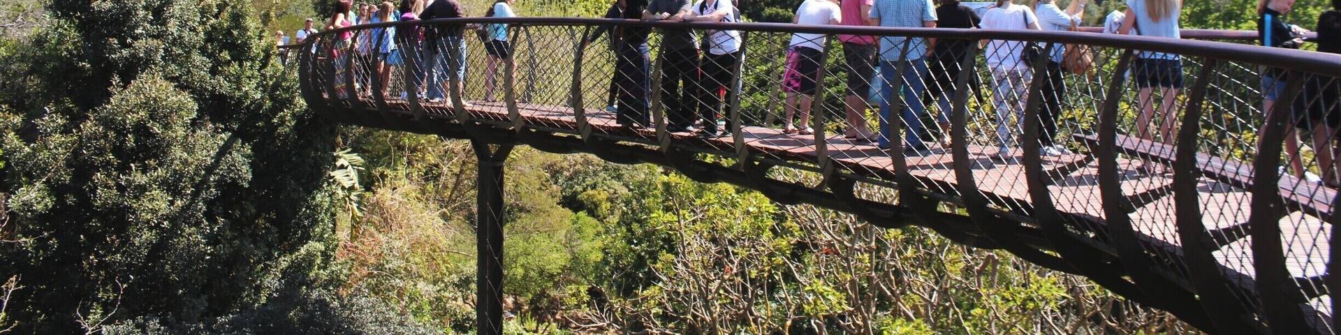 A wooden bridge with people standing on it, overlooking a mountainous landscape with dense greenery.
