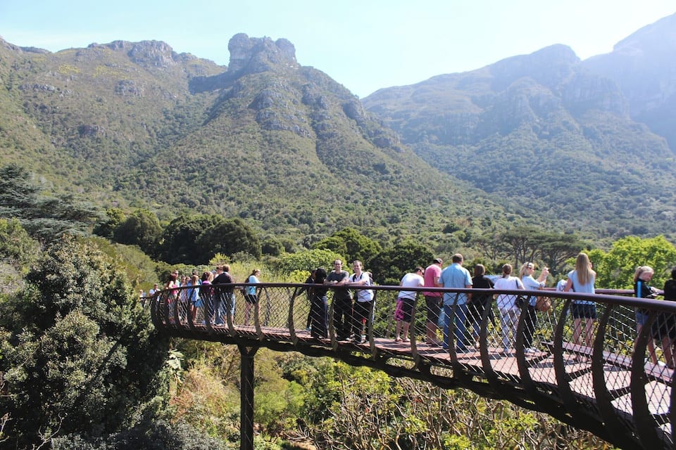 Un puente de madera con gente de pie, con vista a un paisaje montañoso de vegetación densa.