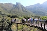 Kirstenbosch National Botanical Gardens