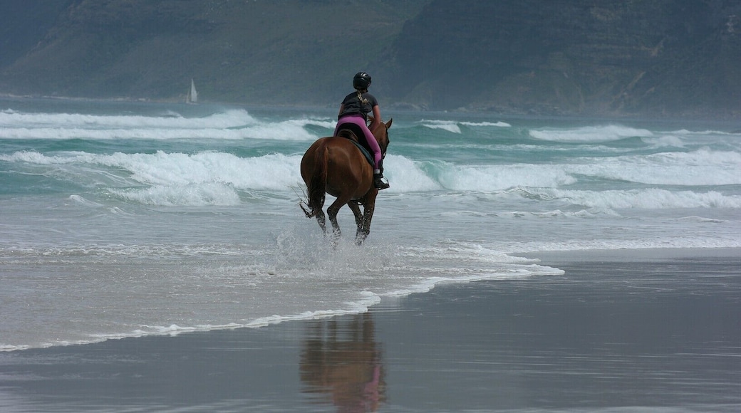 Noordhoek Beach