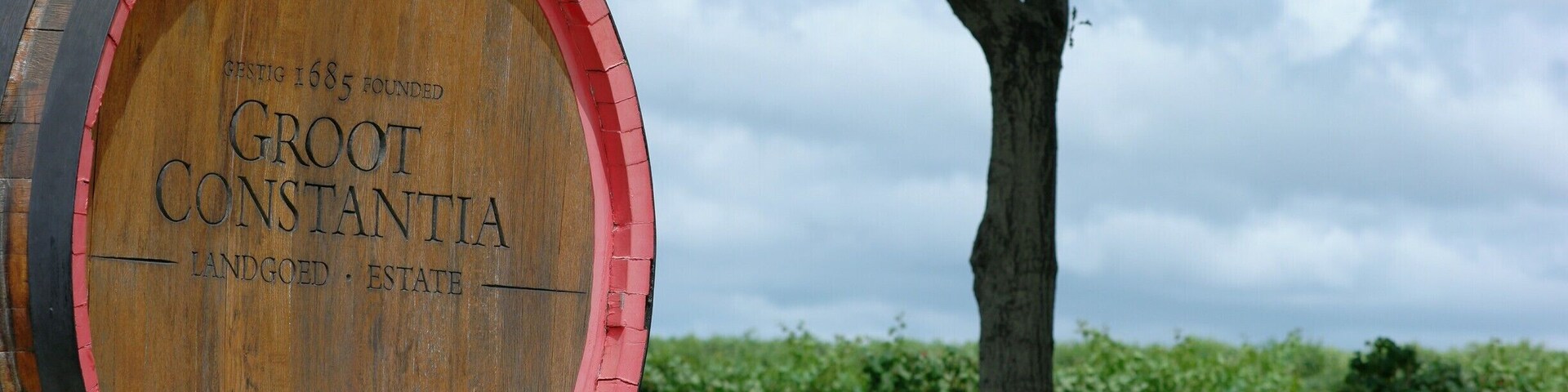 The oldest wine estate in South Africa founded in 1685.
It provides wine tasting, but also lunch for about 200 Rands.
Beautiful environment!