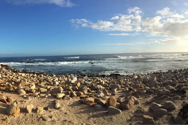 Cape Town , the most beautiful city in the world .. Cape of Good Hope , scenery superb , wildlife even better . A taste of heaven