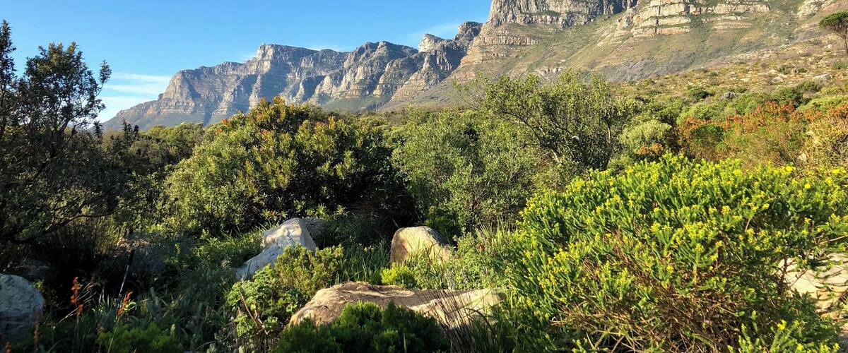 A great alternative view of the mountains on our walk to our spa massage