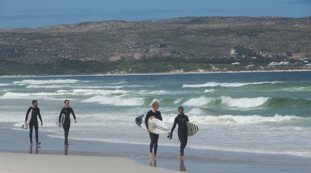 Where: Nordhoek Beach, Capetown, South Africa
When: 20161128, 11:21
Camera: Sony Cybershot DSC-RX10 III ISO: 64
Lens: 206 mm
Aperture: f/9
Shutter speed: 1/1000 second Comments: Surfers after a session