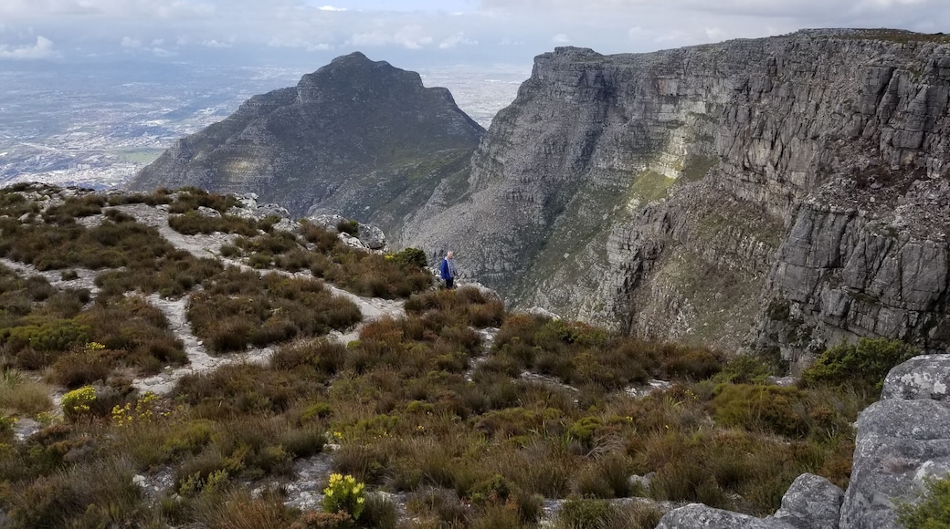 The top of Table Mountain. If there are no clouds the tablecloth) draped over Table Mountain, take advantage and visit Table Mountain immediately - the clouds can roll in quickly and they will not only obscure your view of Cape Town but they will make it hard to see very far on top of the mountain as well. Be on the lookout for dassies. They are fascinating to watch!
#Adventure
#TableMountain
#Africa
#trovember