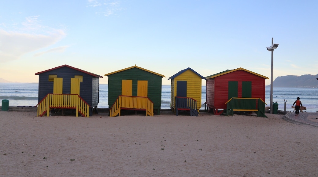 Colors huts on the beach of False Bay
