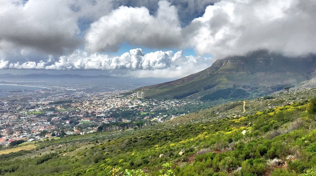 Table mountain, South Africa