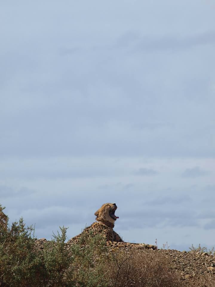 Place historique Greenmarket Square