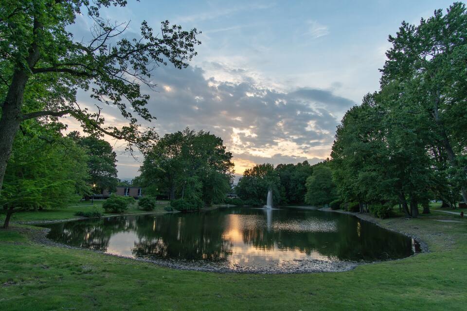 A serene park with a pond, trees, and a fountain.
