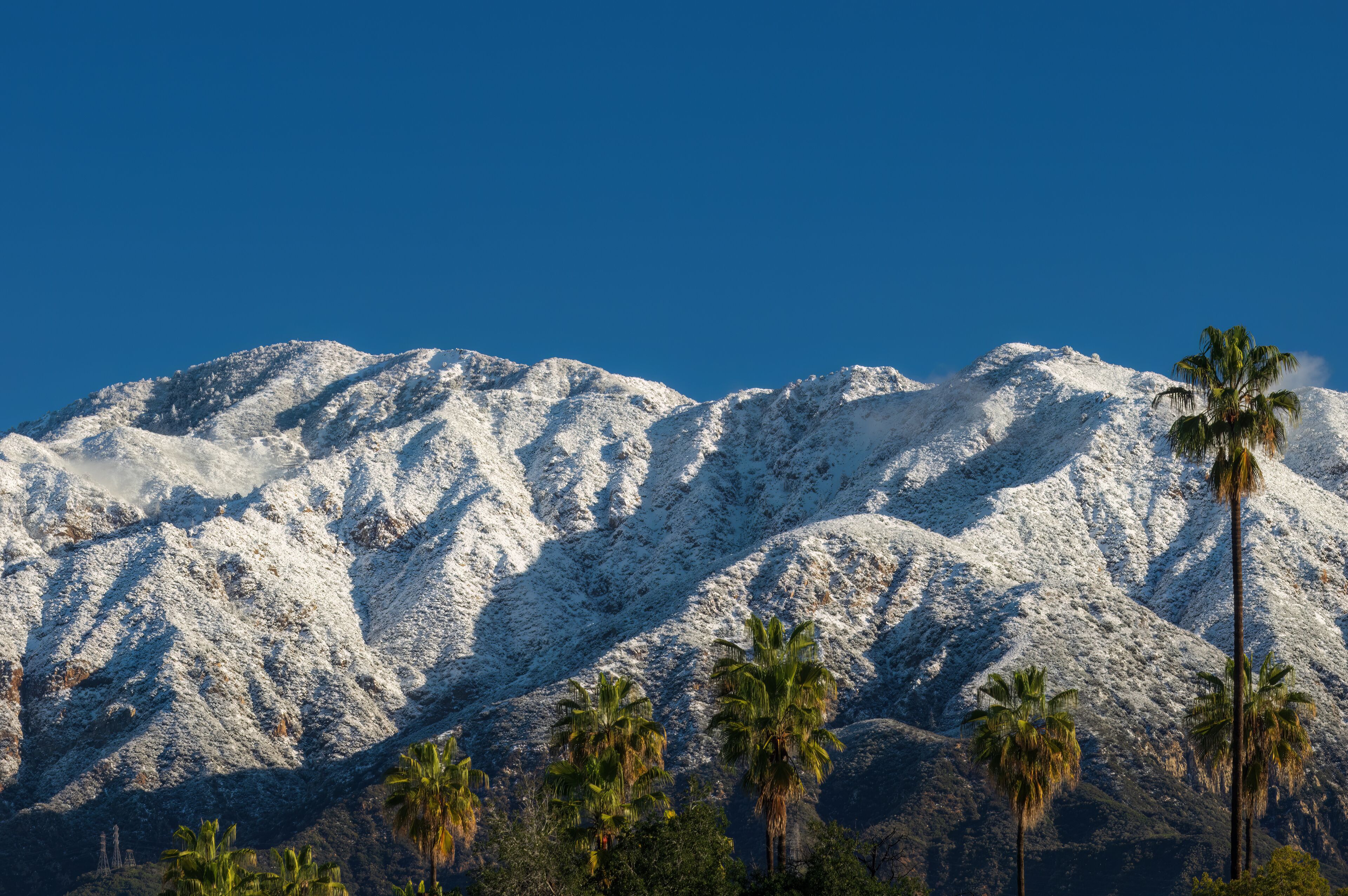 San Gabriel Mountains covered in snow at higher elevations after a recent Southern California storm. Looking north, from Pasadena, with palm trees in the foreground.