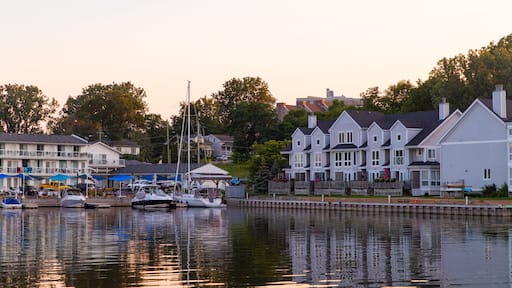 Picton showing a sunset and a bay or harbor