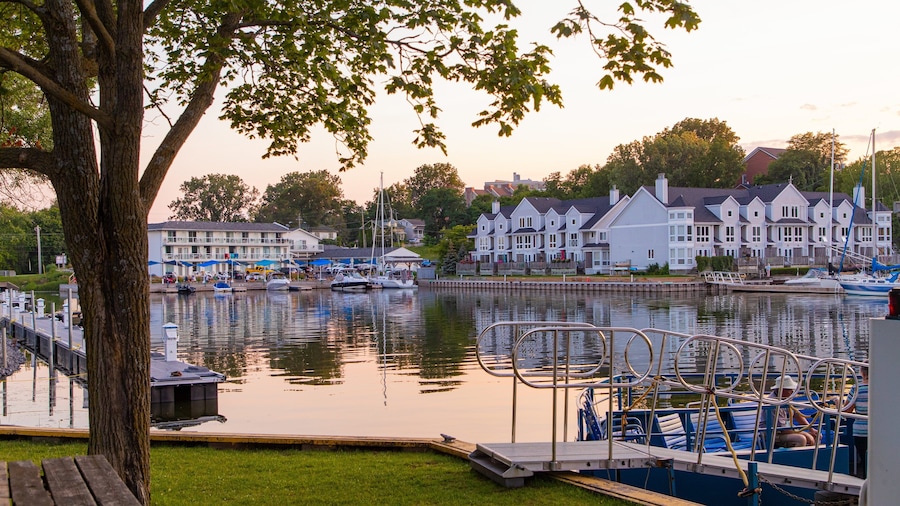 A marina with boats docked, a wooden dock, and houses in the background.