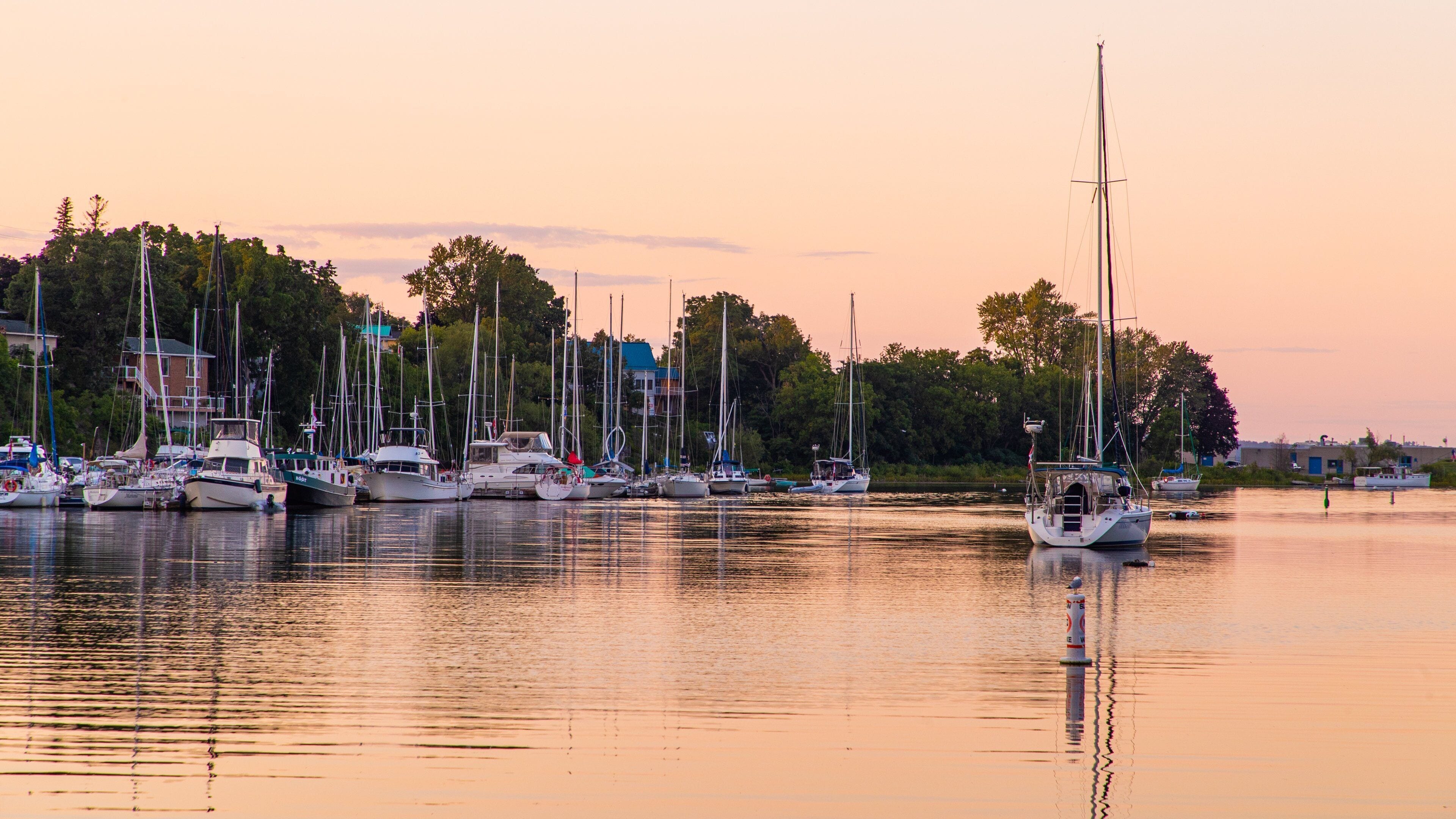 Picton