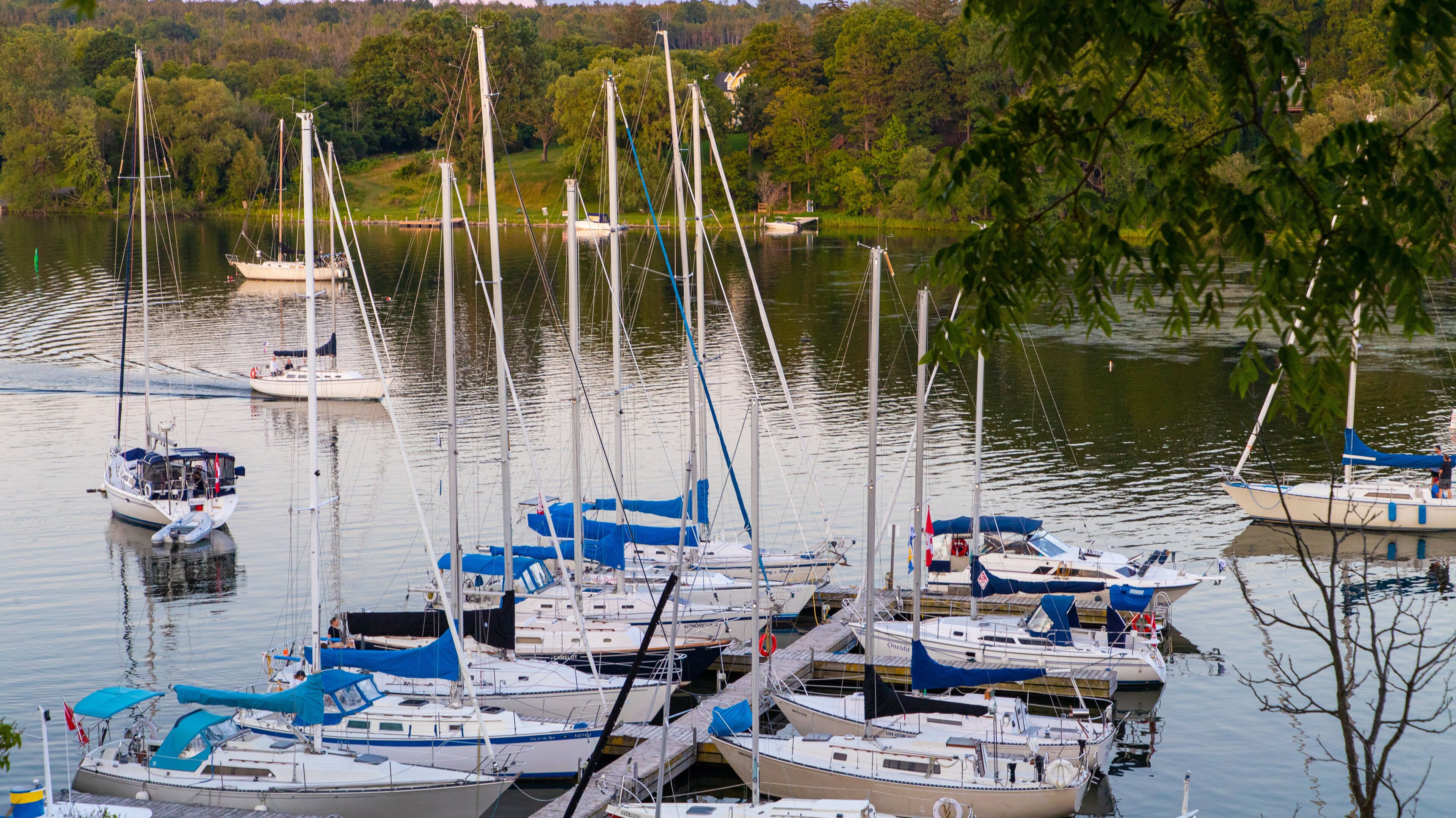 A marina with multiple sailboats docked.