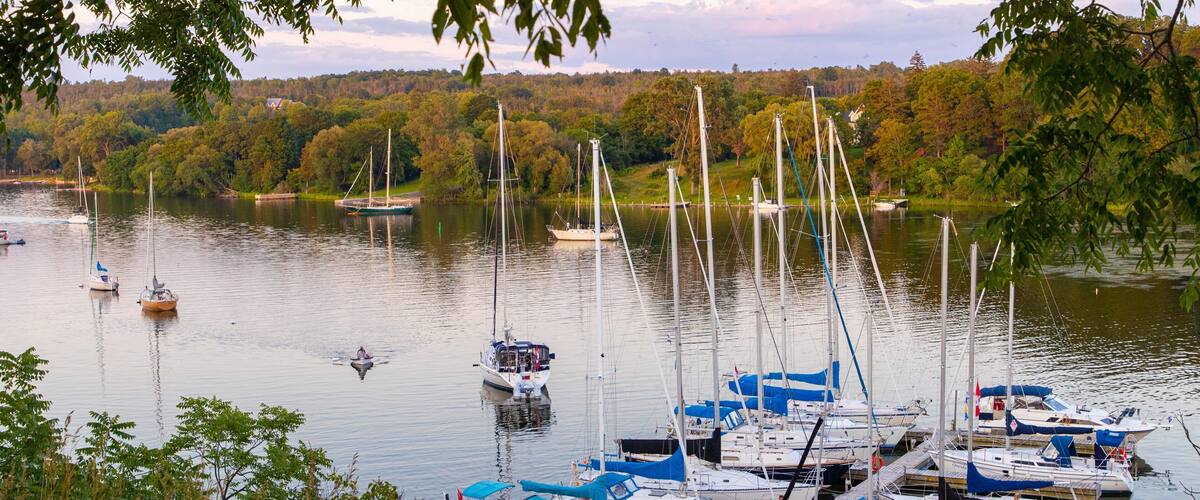 Picton showing a sunset