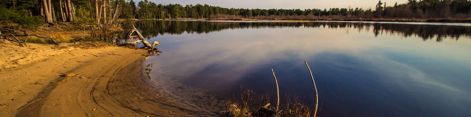 A calm lake with a sandy beach, surrounded by trees and a clear sky.