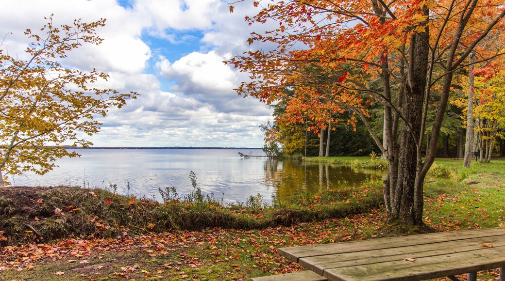 Michigan National Forest In Autumn. Sunny fall
day on the shores of Brevort Lake in the
Hiawatha National forest of the Upper Peninsula of Michigan.