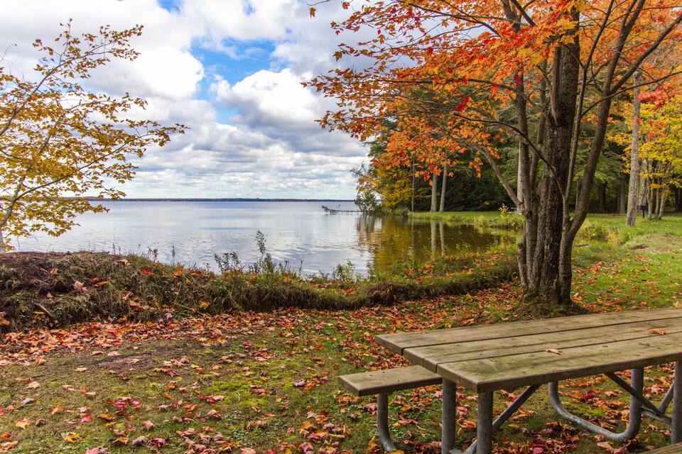A lakeside picnic area with autumn leaves, a wooden bench, and a calm lake.