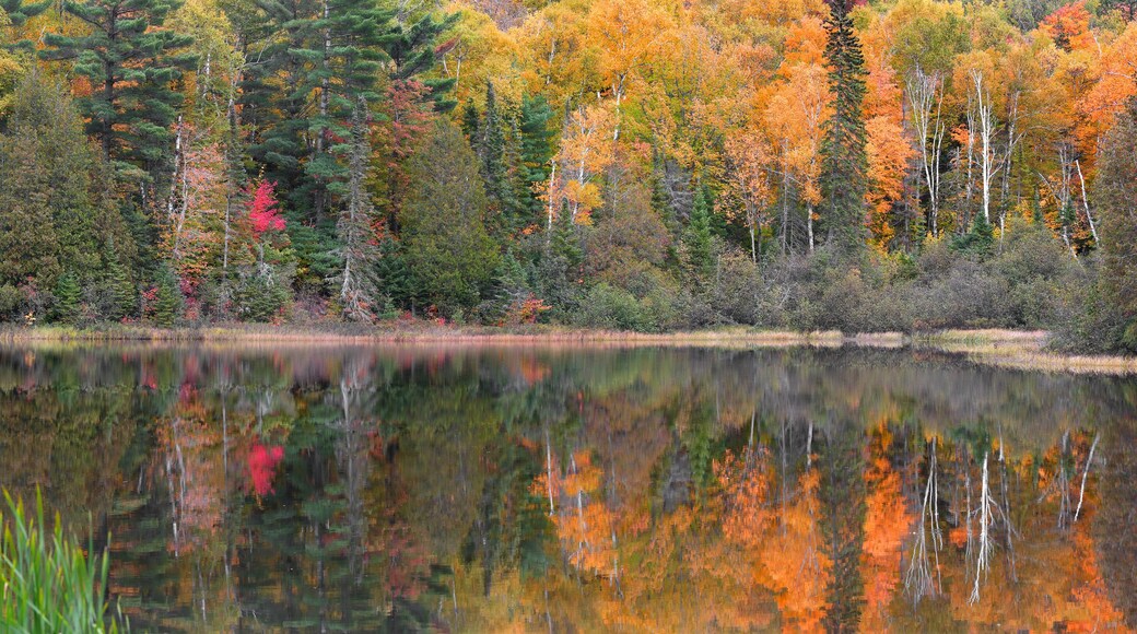 Panoramic view of autumn tree reflections in Little Beaver lake in Pictured rocks national lake shore in Michigan upper peninsula.