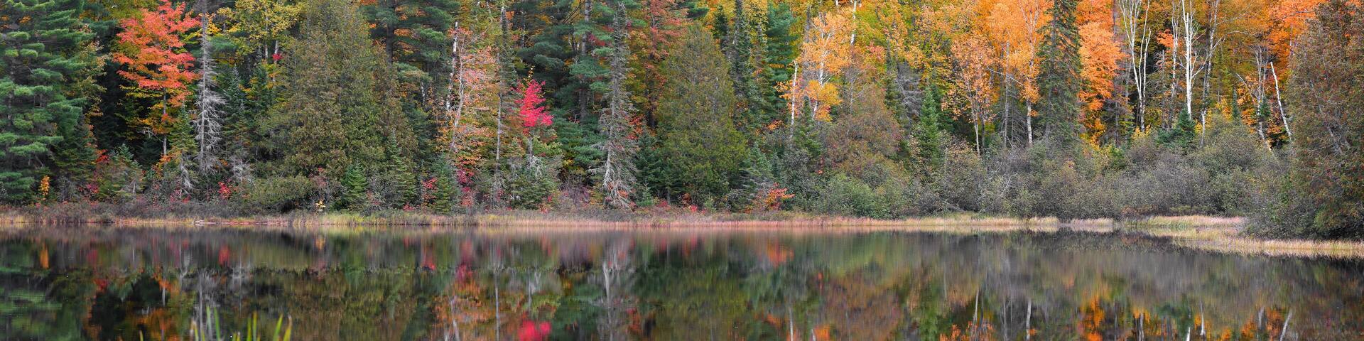Panoramic view of autumn tree reflections in Little Beaver lake in Pictured rocks national lake shore in Michigan upper peninsula.