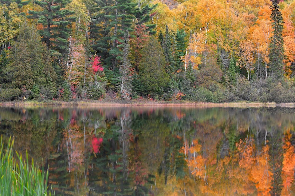 A calm lake surrounded by autumn-colored trees reflecting in the water.