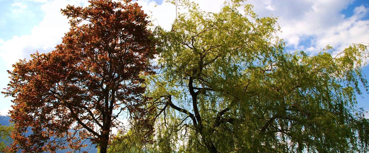 View of harrison hot springs in BC Canada