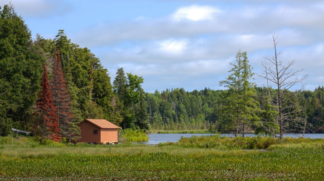 Forest Boathouse on the Lake
