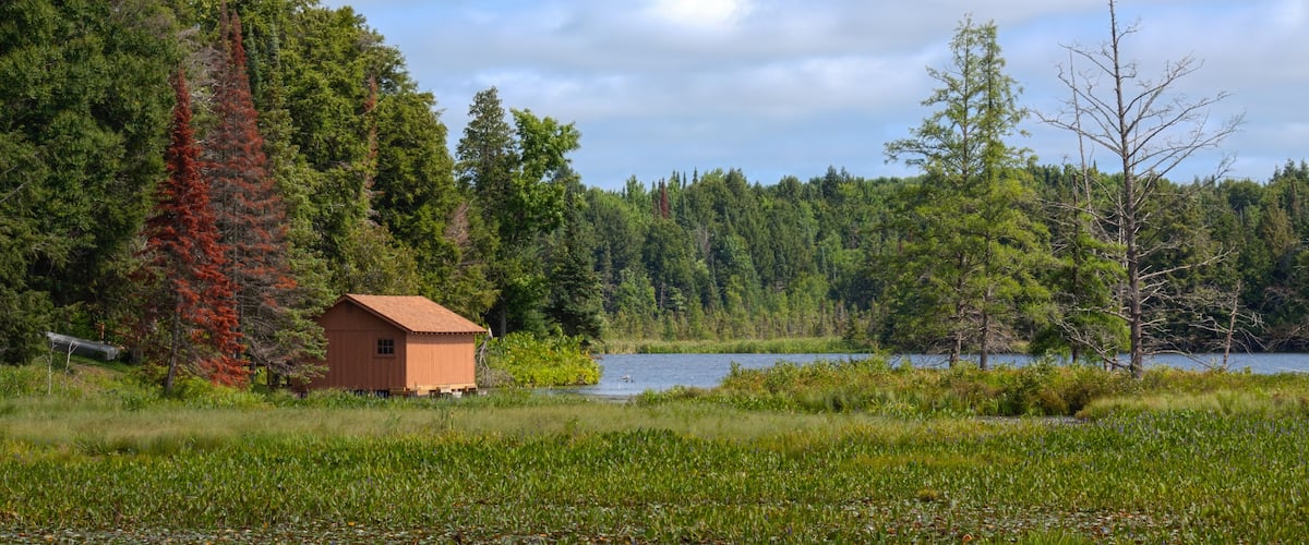Forest Boathouse on the Lake