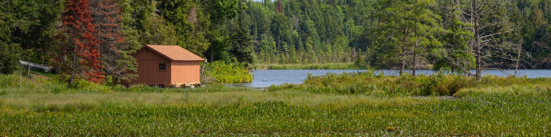 Forest Boathouse on the Lake