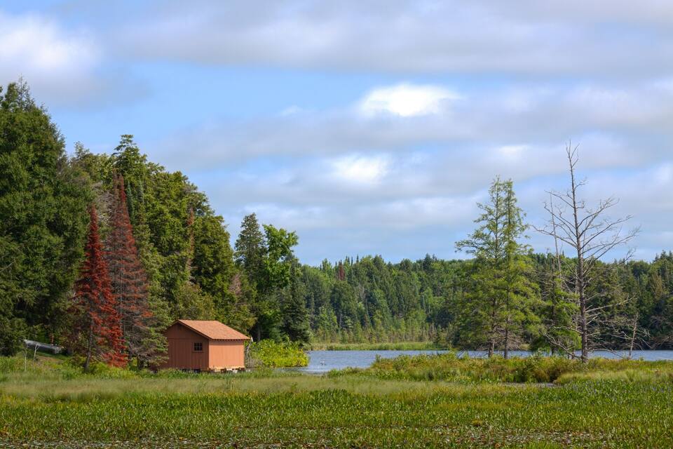 Uma cabana à beira de um lago, rodeada por uma floresta densa e árvores altas.