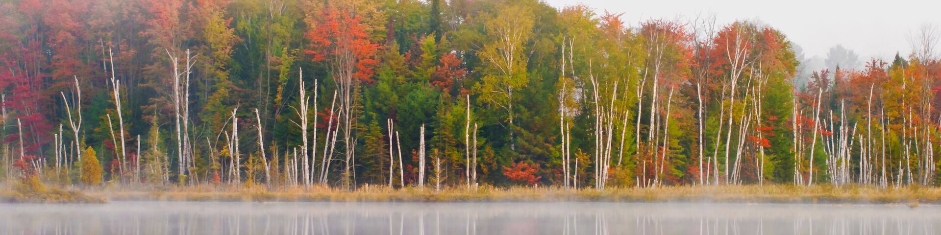 A calm lake with reflections of trees displaying autumn colors.