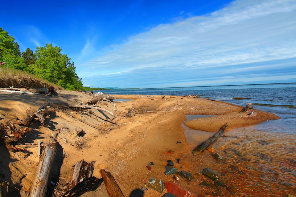 A sandy beach with driftwood and rocks, surrounded by trees and a clear blue sky.