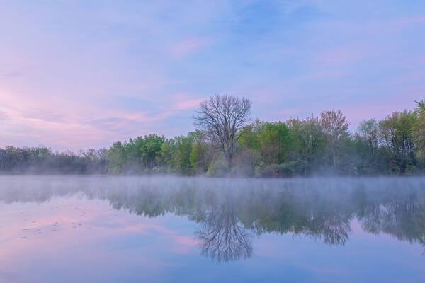 Spring landscape at dawn of Jackson Hole Lake in fog with reflections in calm water, Fort Custer State Park, Michigan, USA