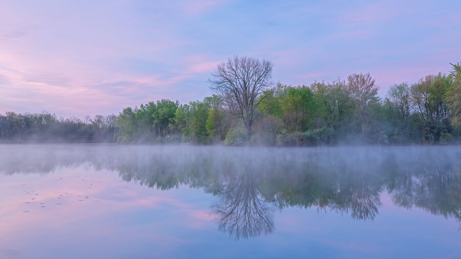 Spring landscape at dawn of Jackson Hole Lake in fog with reflections in calm water, Fort Custer State Park, Michigan, USA