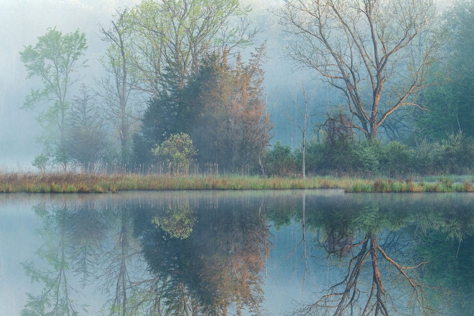 Un lago calmo con i riflessi degli alberi e un'atmosfera nebbiosa.