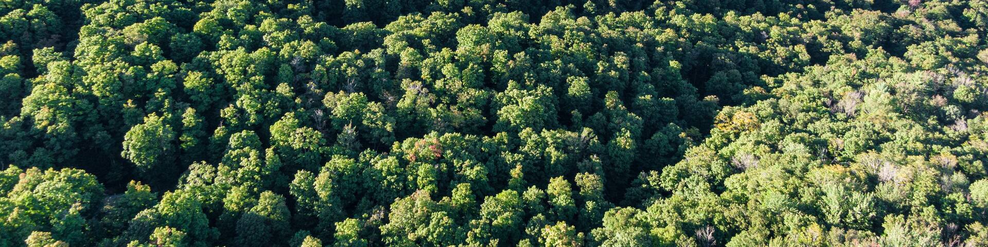 Aerial view of Pickerel Lake from the hills of Northern Michigan