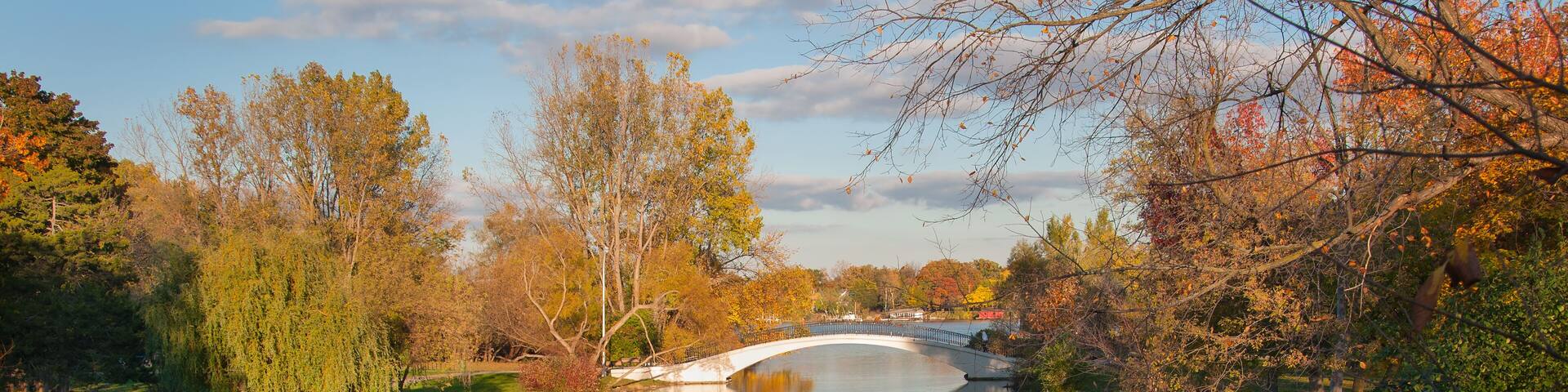 Walk Bridge Over Creek