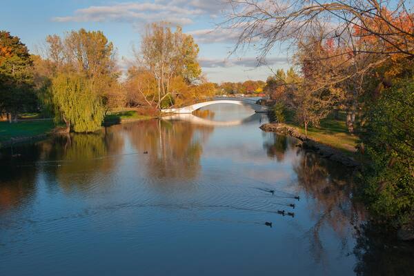 Walk Bridge Over Creek
