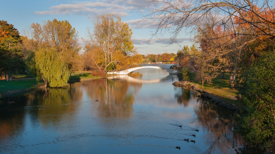 Walk Bridge Over Creek