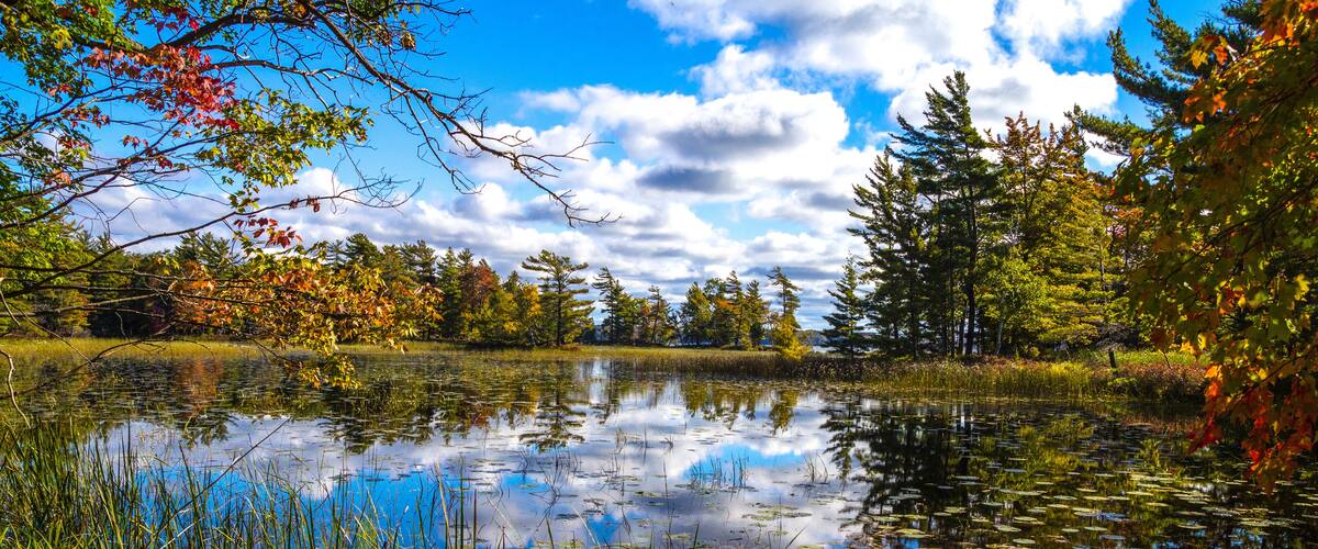 Blue sky reflections in the protected wetlands of Ludington State Park in Michigan.