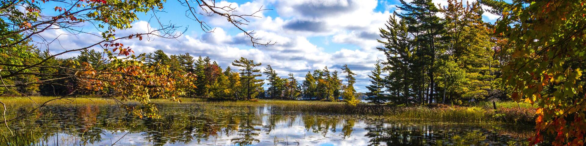 A calm lake surrounded by trees with autumn foliage, clear sky, and reflections on the water.