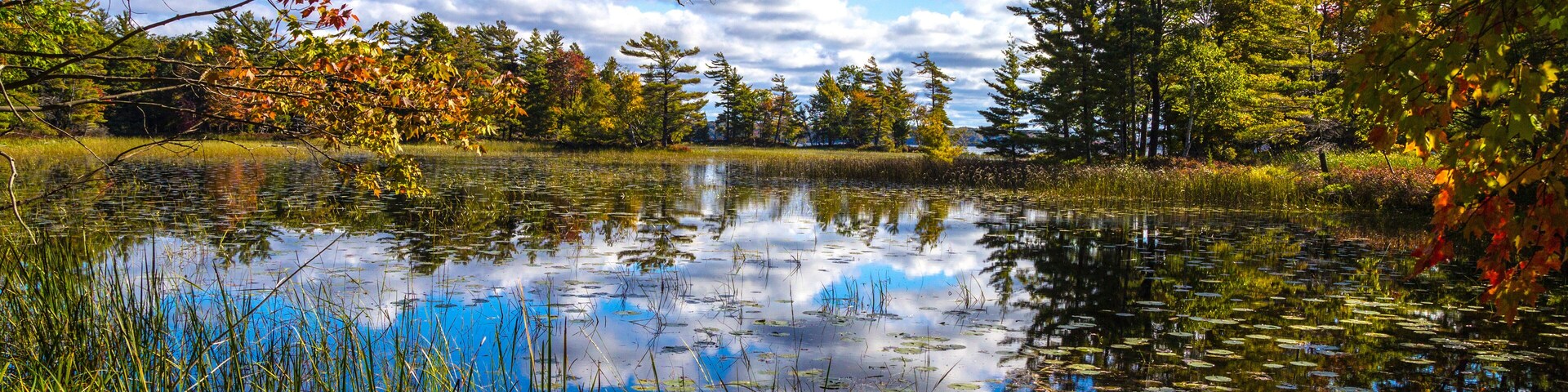 Blue sky reflections in the protected wetlands of Ludington State Park in Michigan.
