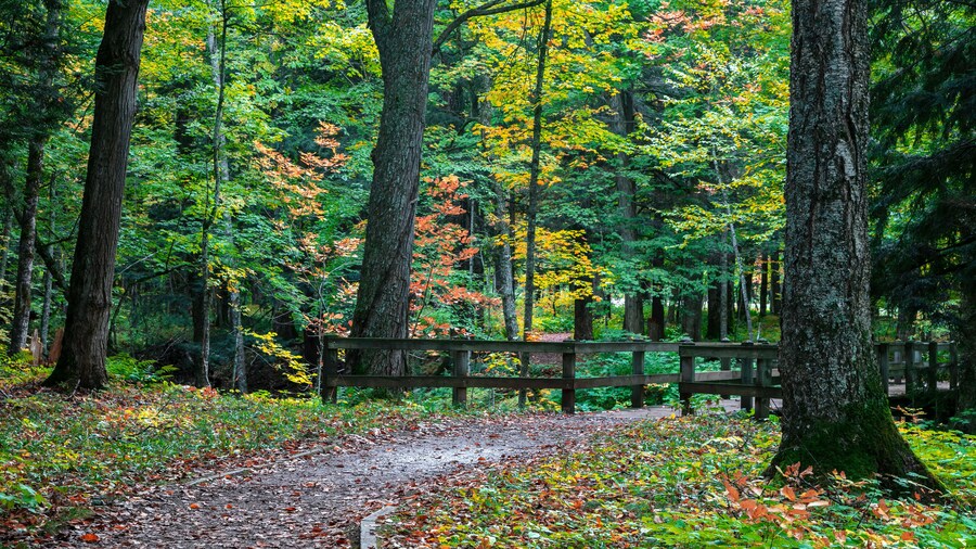 Small bridge and nature trail in Presque Isle state park in Michigan upper Peninsula