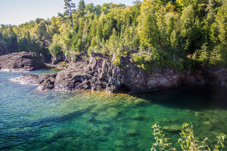 Una costa rocciosa con acque limpide e fitta vegetazione.