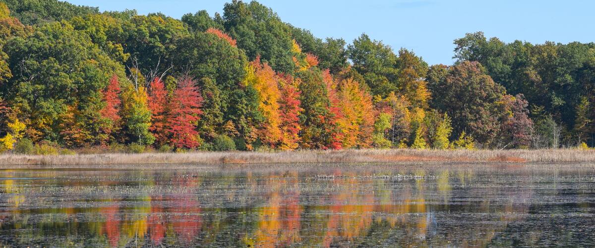 Beautiful view of autumn trees by the lake in Waterloo Park, Ann Arbor, Michigan, USA. Reflection of colorful leaves in lake water under blue sky.