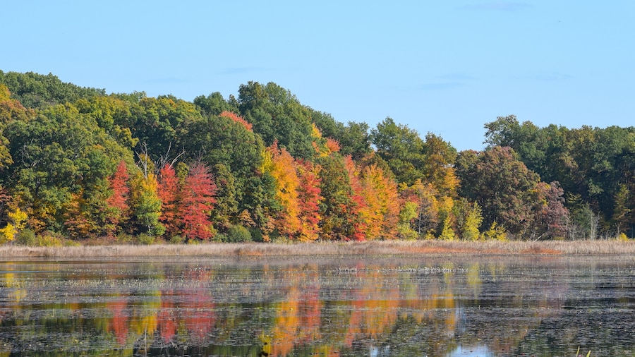 Beautiful view of autumn trees by the lake in Waterloo Park, Ann Arbor, Michigan, USA. Reflection of colorful leaves in lake water under blue sky.