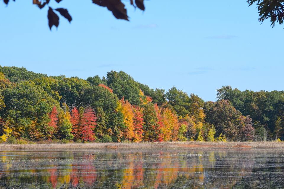 A lake with autumn-colored trees reflecting on the water.