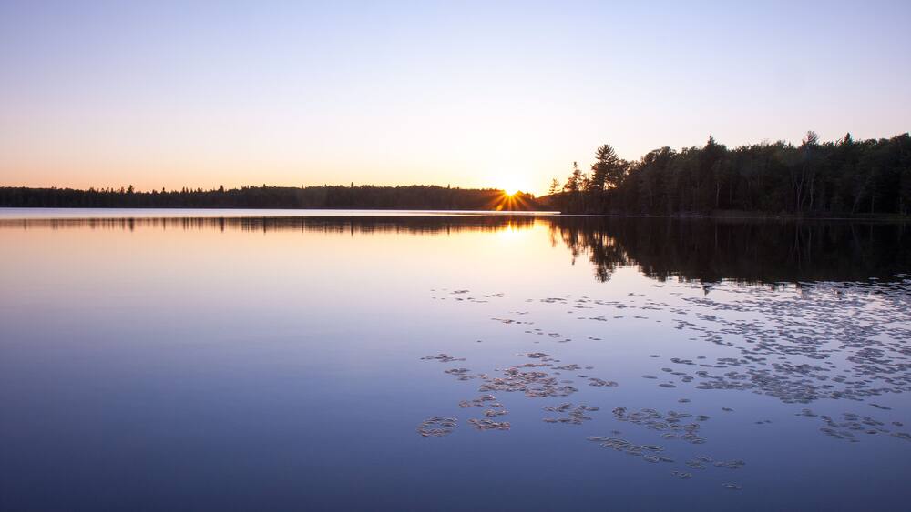 Colorful lake sunset landscape with tree reflection on water and lily pads and lens flare starburst
