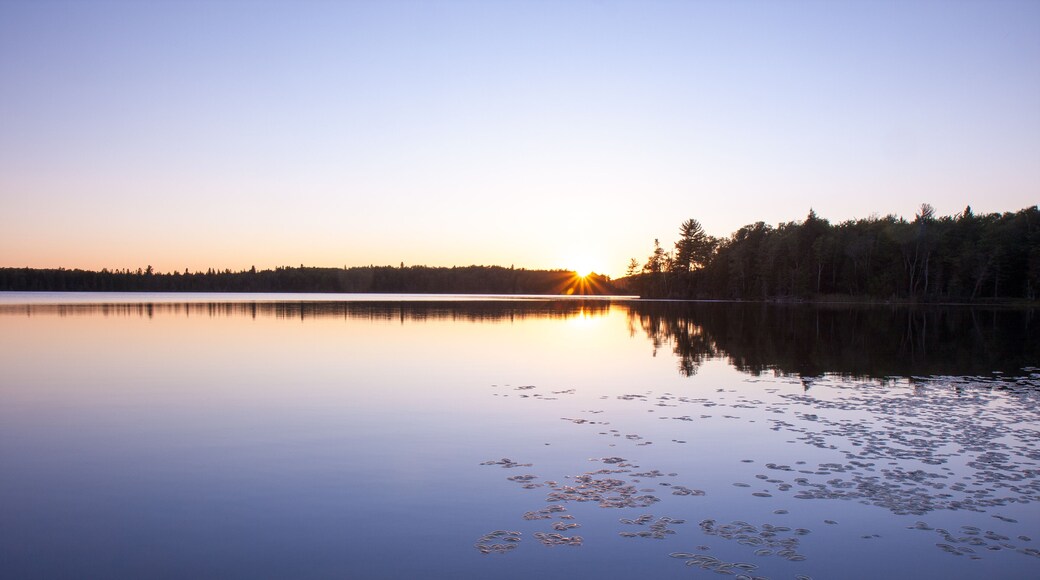 Colorful lake sunset landscape with tree reflection on water and lily pads and lens flare starburst